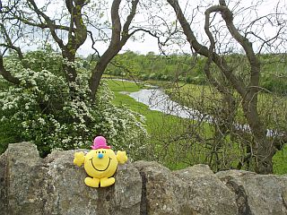 Millenium Milepost